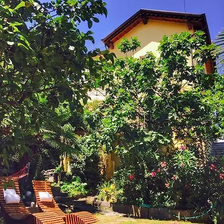 Avarizia * Pallanza